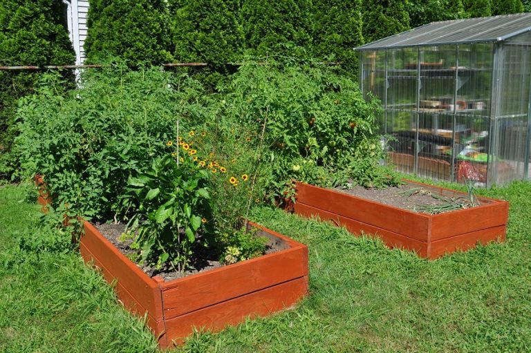 Vegetable Garden